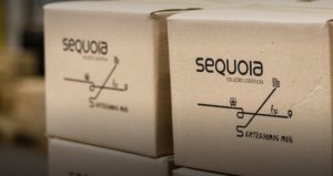Sequoia Divulgação