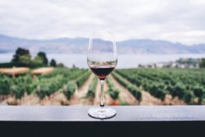 wine unsplash