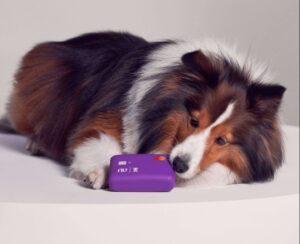 Nubank foto divulgacao
