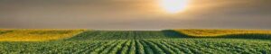 agrobrasil