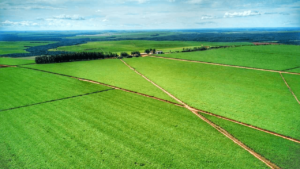 Imagem de propriedade rural para o agronegócio BrasilAgro