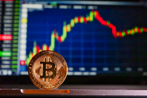 Bitcoin Pixabay ranking investimentos
