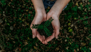 Noah Buscher Unsplash