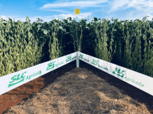 SLC Agricola Divulgacao