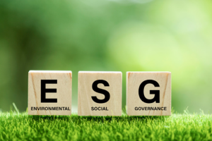 fundos de ações esg png
