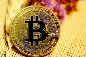 imagem Bitcoin criptomoedas