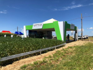 vittia: reprodução/facebook