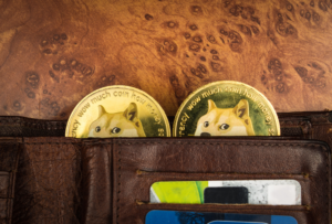 Duas moedas de Dogecoin dentro de uma carteira