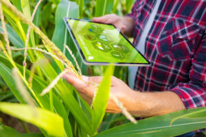 A AgroGalaxy (AGXY3) foi uma das empresas do agronegócio brasileiro que abriram capital na Bolsa nos últimos meses. O que esperar?