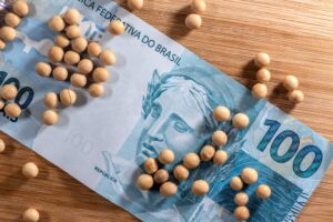 No fim de junho, o governo brasileiro apresentou o Plano Safra para a temporada 2022/23. Ao todo, serão destinados R$ 340,8 bilhões.