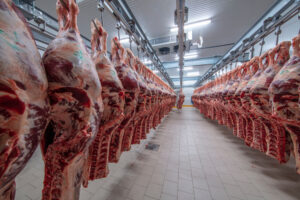 carne bovina em frigorífico
